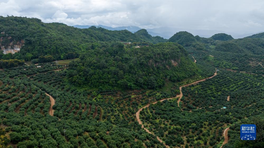 万和城登陆链接